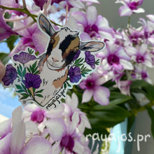 Load image into Gallery viewer, Cabrita / Goat 🐐