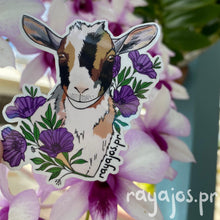 Load image into Gallery viewer, Cabrita / Goat 🐐