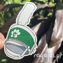 Load image into Gallery viewer, Gorro Banda Colegial 💚