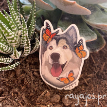 Load image into Gallery viewer, Siberian Husky