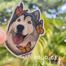 Load image into Gallery viewer, Siberian Husky