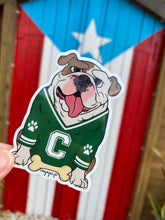 Load image into Gallery viewer, Tarzán