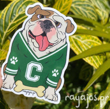 Load image into Gallery viewer, Tarzán