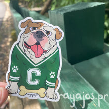 Load image into Gallery viewer, Tarzán