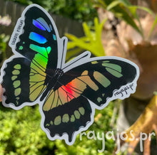 Load image into Gallery viewer, Mariposa Malaquita