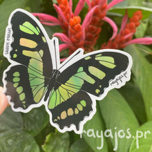 Load image into Gallery viewer, Mariposa Malaquita