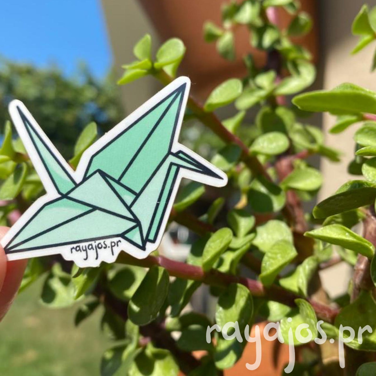 Mint Origami