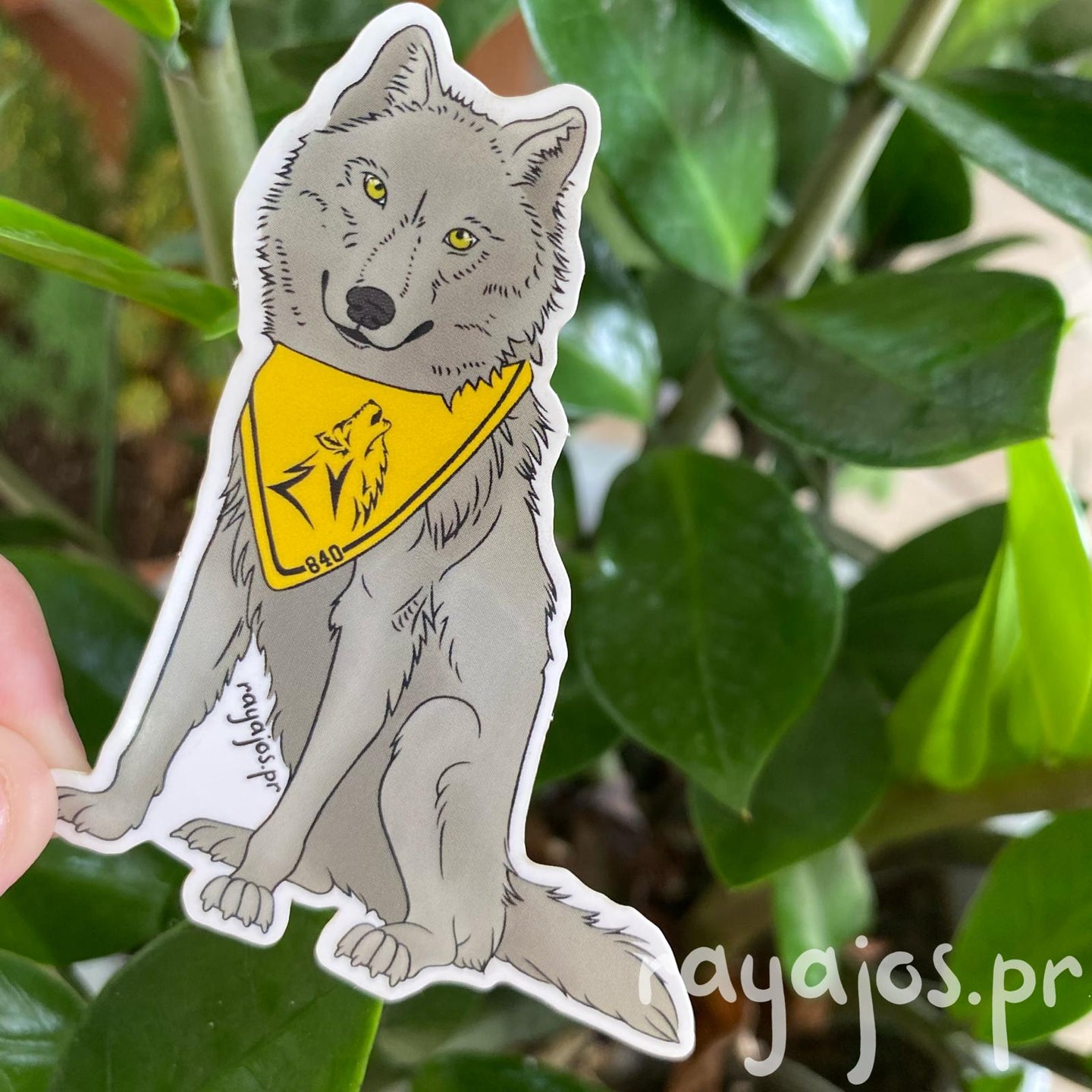 El Lobo del UPRA 💛